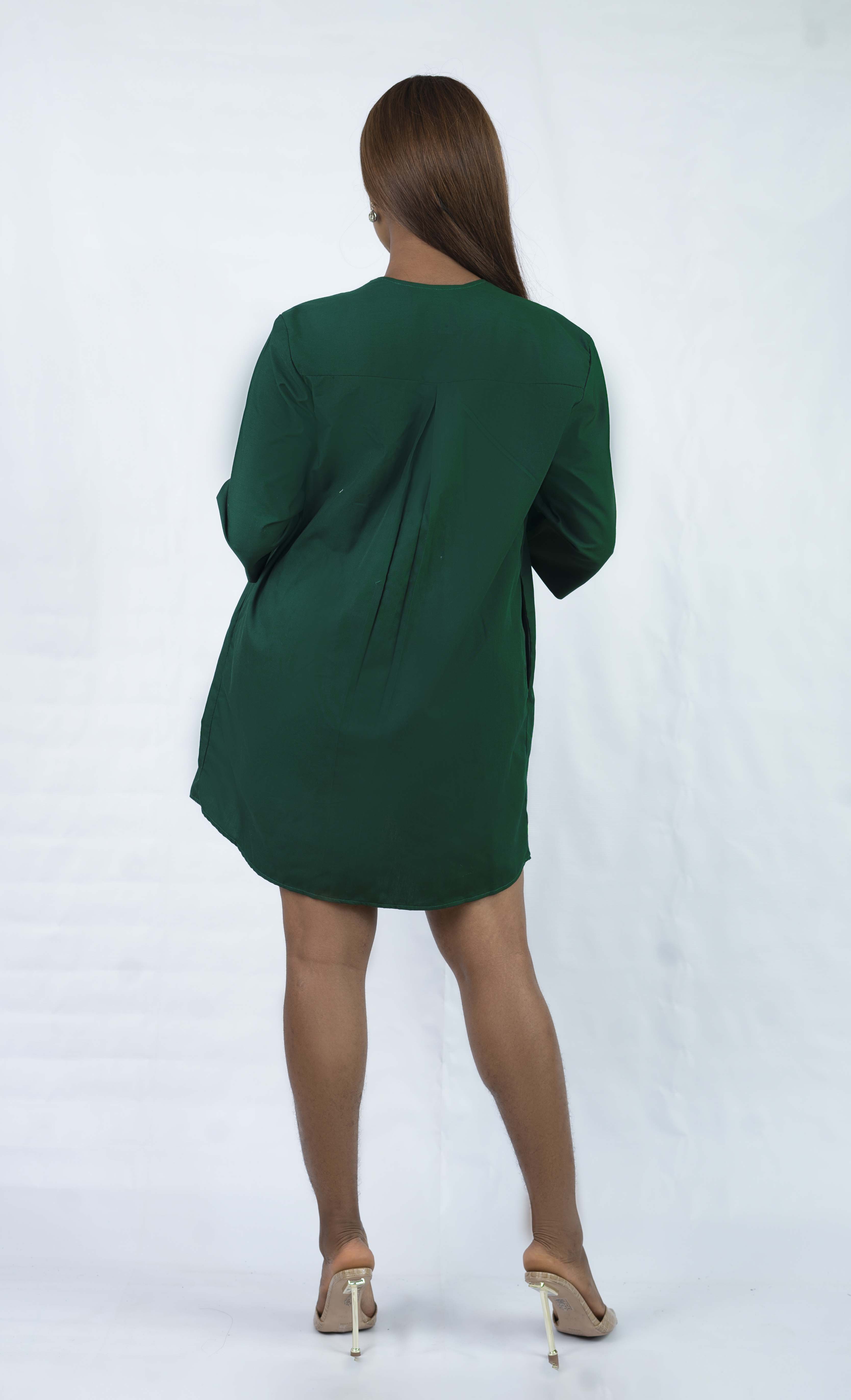 Shift Button Down Dress